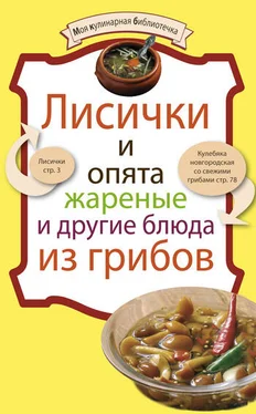 Denis Лисички и опята жареные и другие блюда из грибов обложка книги