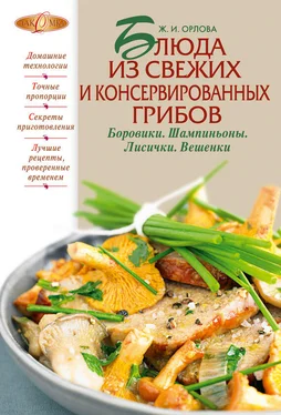 Жанна Орлова Блюда из свежих и консервированных грибов. Боровики, шампиньоны, лисички, вешенки обложка книги