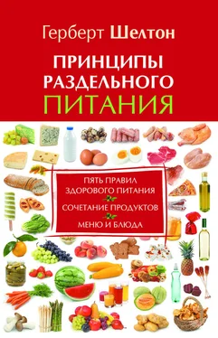 Герберт Шелтон Принципы раздельного питания обложка книги