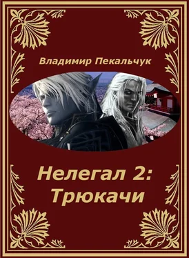 Владимир Пекальчук Нелегал-2: Трюкачи обложка книги