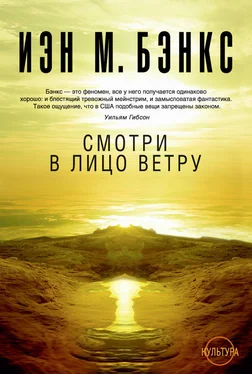 Иэн Бэнкс Смотри в лицо ветру обложка книги