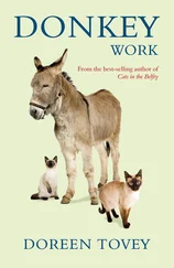 Doreen Tovey - Donkey Work
