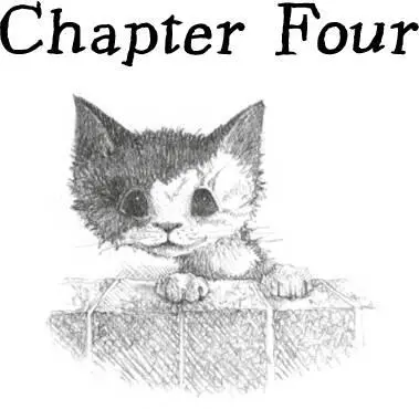 Cleo woke the next morning feeling stiff and cold She had slept on the pile of - фото 23