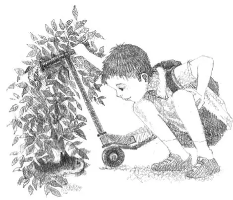 What are you doing George muttered You shouldnt be out on the pavement - фото 39