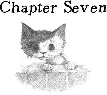 This is my bedroom George explained to the kitten Then he laughed to - фото 43