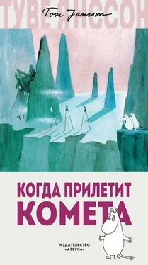 Туве Янссон Когда прилетит комета обложка книги