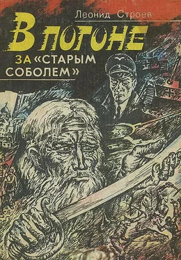 Леонид Строев В погоне за «старым соболем» обложка книги