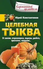 Юрий Константинов - Целебная тыква. От анемии, атеросклероза, подагры, диабета, простатита. ожирения