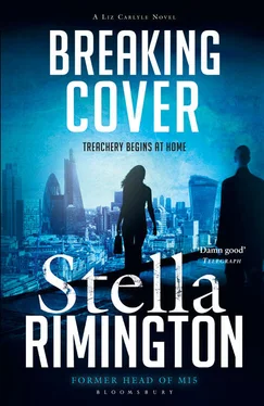 Stella Rimington Breaking Cover обложка книги