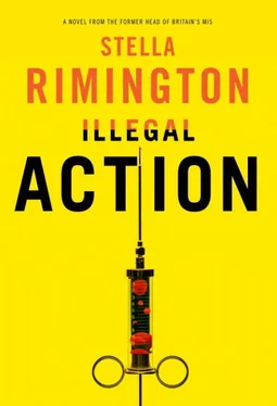 Stella Rimington Illegal Action обложка книги