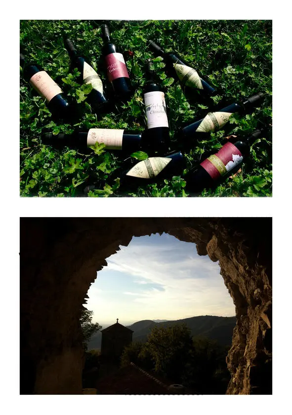 Грузинское вино ренессанс - фото 62
