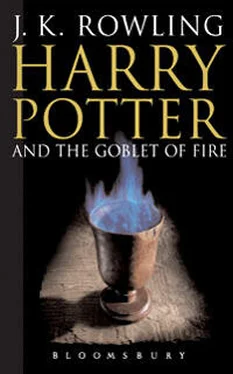 J. Rowling Harry Potter and the Goblet of Fire обложка книги