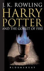 J. Rowling - Harry Potter and the Goblet of Fire