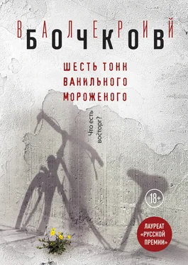 Валерий Бочков Шесть тонн ванильного мороженого обложка книги