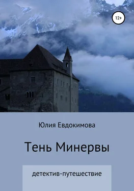 Юлия Евдокимова Тень Минервы обложка книги