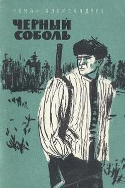 Роман Александров Черный соболь обложка книги