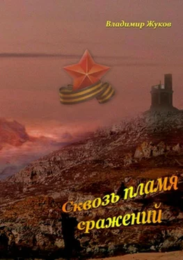Владимир Жуков Сквозь пламя сражений обложка книги
