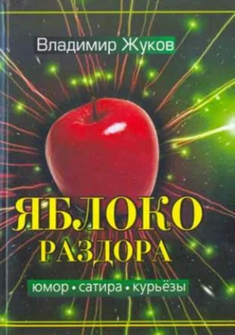 Владимир Жуков Яблоко раздора. Сборник рассказов обложка книги