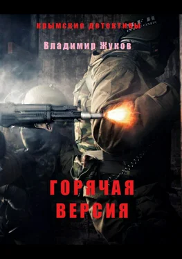 Владимир Жуков Горячая версия обложка книги