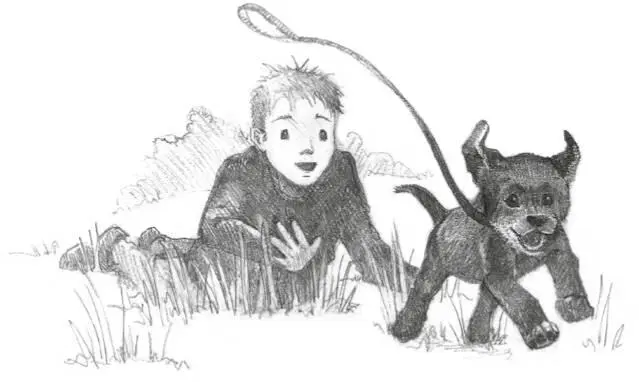 Ive got it Amelie yelled snatching at Montys trailing lead as he danced - фото 54