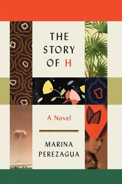 Marina Perezagua The Story of H обложка книги