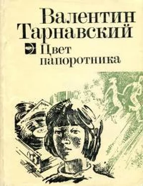 Валентин Тарнавский Цвет папоротника обложка книги