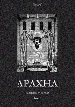 Рэй Брэдбери Арахна [Рассказы о пауках. Том II] обложка книги