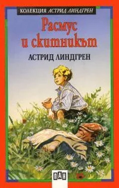 Астрид Линдгрен Расмус и скитникът обложка книги