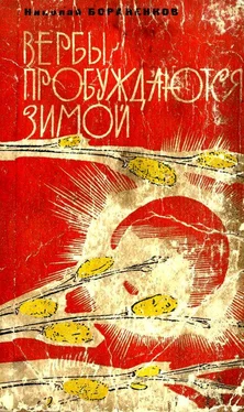 Николай Бораненков Вербы пробуждаются зимой [Роман] обложка книги