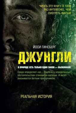 Йоси Гинсберг Джунгли. В природе есть только один закон – выживание обложка книги