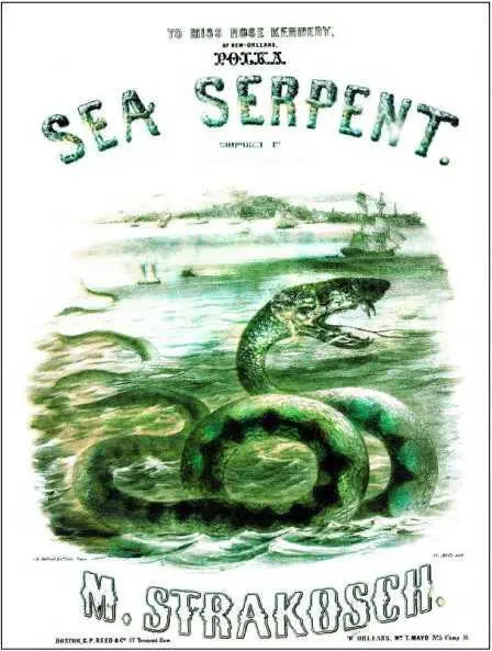 Стракош Полька Морской змей Бостон НьюОрлеан ок 1840 Чарльз Сибери - фото 6