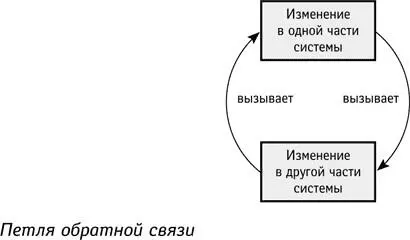Наш опыт складывается в результате действий такого рода петель обратной связи - фото 12