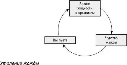 А теперь попробуйте в подробностях представить себе как разговариваете с - фото 13