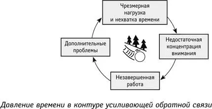 Примеры усиливающей обратной связи командный дух раковые заболевания паранойя - фото 22