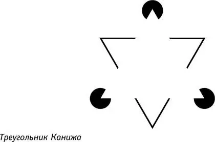 Ментальные модели это нечто вроде встроенных в наши глаза и мозг фильтров - фото 36