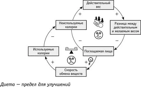 Есть и другие возможности Количество поглощаемой пищи зависит от аппетита В - фото 102