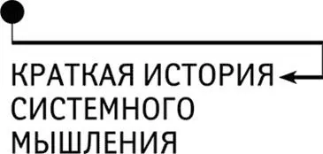 Краткая история системного мышления Некоторые идеи кажутся настолько - фото 123