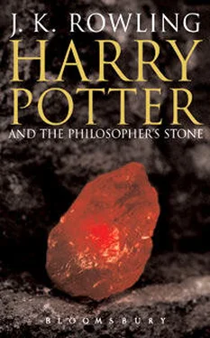 J. Rowling Harry Potter and the Sorcerer's Stone обложка книги