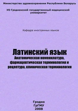Дмитрий Кондратьев Латинский язык обложка книги