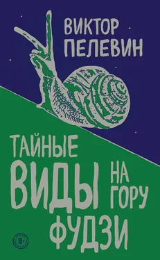 Виктор Пелевин Тайные виды на гору Фудзи [litres] обложка книги