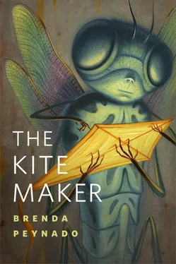 Brenda Peynado The Kite Maker обложка книги