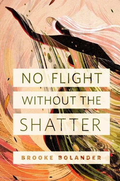 Brooke Bolander No Flight Without the Shatter обложка книги