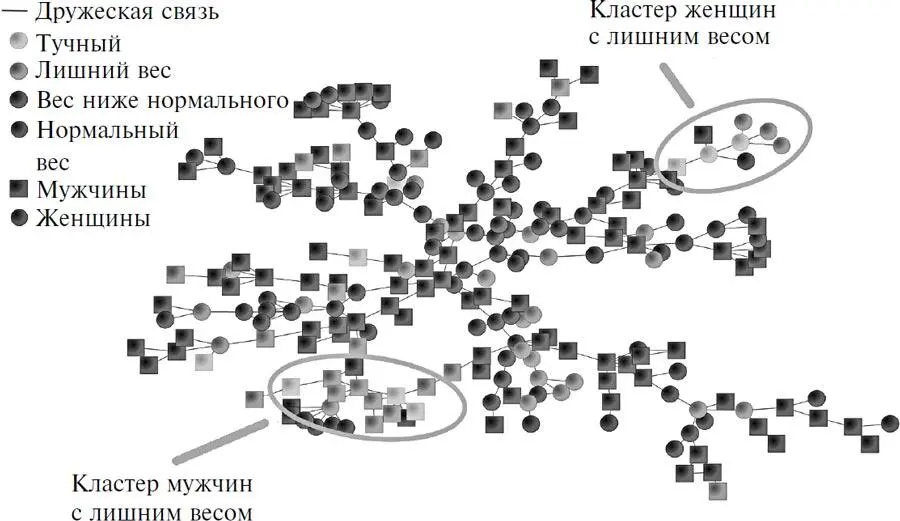 Взгляд внутрь организма 2015 год Кластеры друзей в Facebook страдающих - фото 41