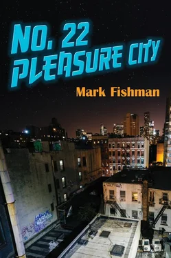 Mark Fishman No. 22 Pleasure City обложка книги