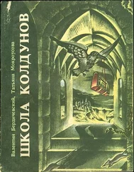 Валентин Бердичевский - Школа колдунов