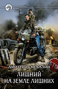 Дмитрий Смекалин Лишний на земле лишних обложка книги