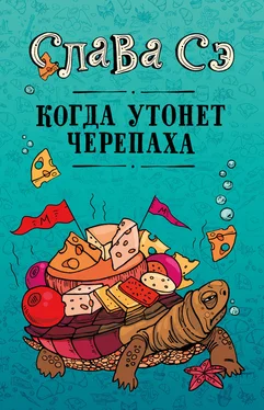 Вячеслав Солдатенко Когда утонет черепаха обложка книги