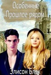 Элисон Блэк - Особенные. Прошлое рядом [СИ]