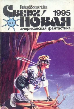 Дэвид Брин Сверхновая американская фантастика, 1995 № 05-06 обложка книги