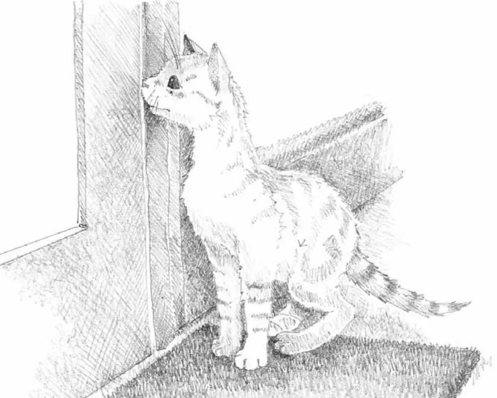 He paced up and down beside the door for a few moments letting out a - фото 46